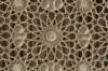 _uae_thailand0093_small.jpg