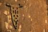 _uae_thailand1591_small.jpg