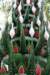 _uae_thailand2046_small.jpg