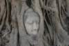 _uae_thailand2218_small.jpg