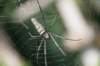 _uae_thailand2583_small.jpg