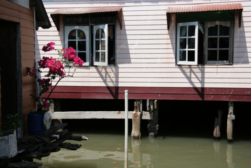 _uae_thailand2957.jpg