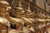 _uae_thailand1764_small.jpg
