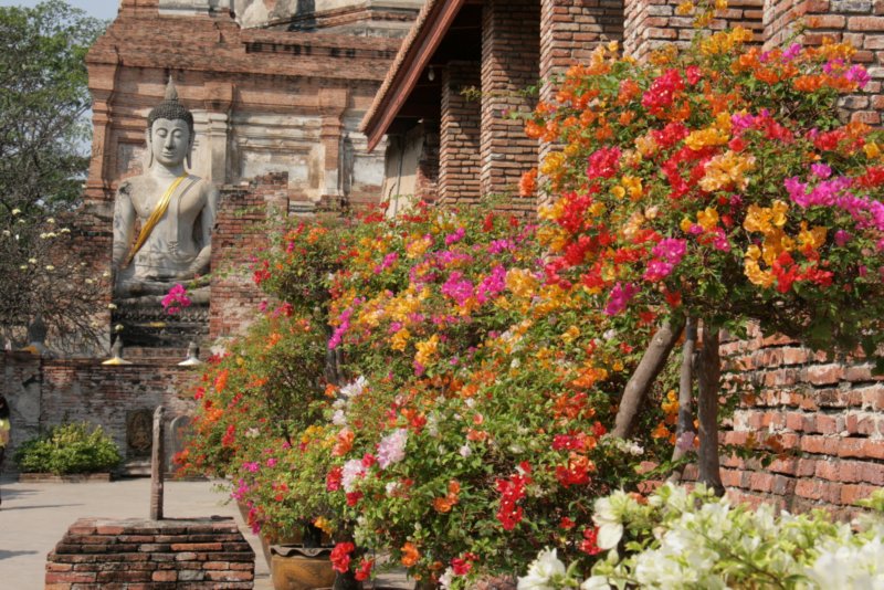 _uae_thailand2165.jpg