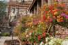 _uae_thailand2165_small.jpg