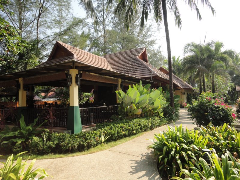 _uae_thailand2559.jpg