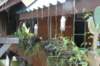 _uae_thailand2951_small.jpg