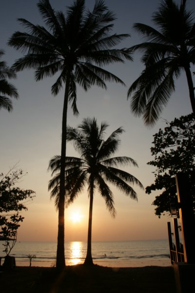_uae_thailand2994.jpg
