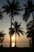 _uae_thailand2994_small.jpg