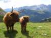 dolomiten1_042_small.jpg