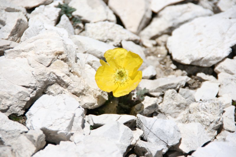 dolomiten1_362.jpg
