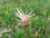 dolomiten1_400_small.jpg