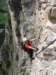 dolomiten1_481_small.jpg