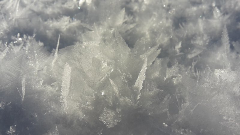 photo.jpg