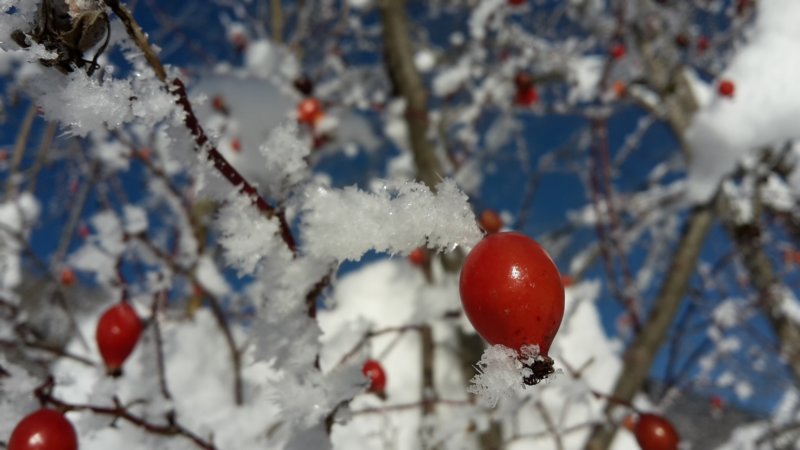photo19.jpg