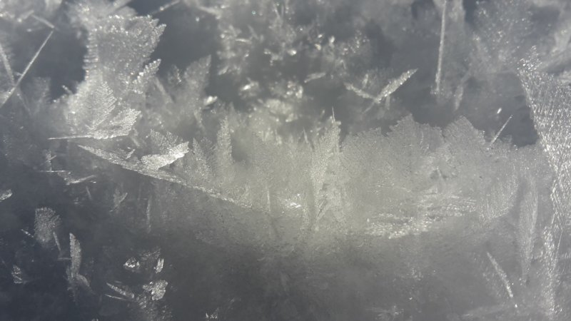 photo2.jpg