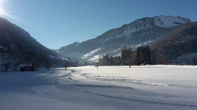 photo21.jpg