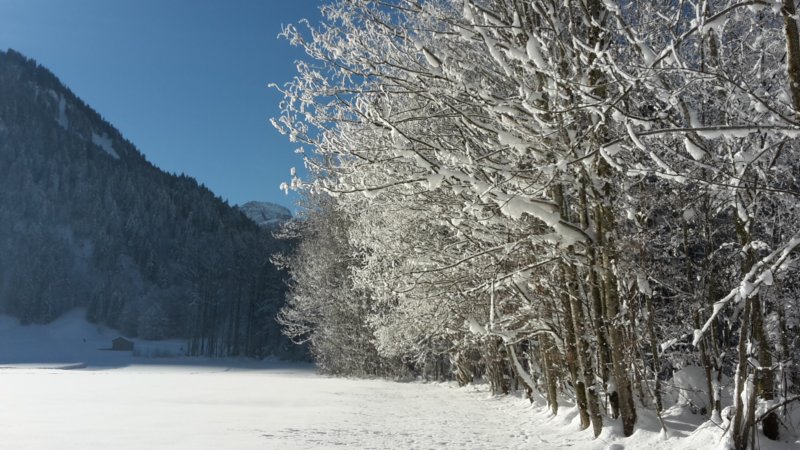 photo5.jpg