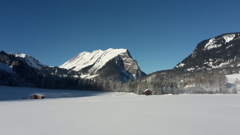 photo7.jpg