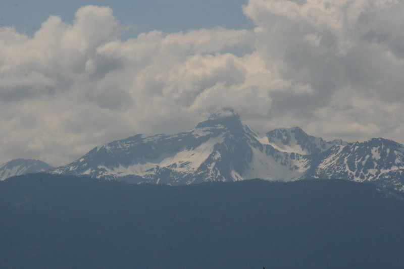 img_1113.jpg