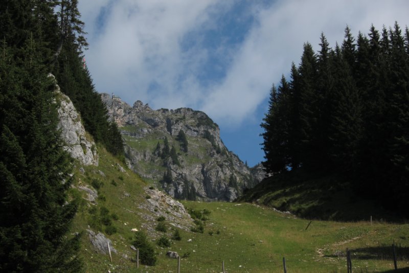 img_3645.jpg