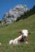 img_3717_small.jpg