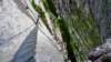 dsc01551_small.jpg